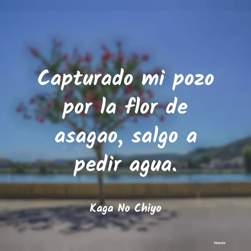 Frases de Kaga No Chiyo