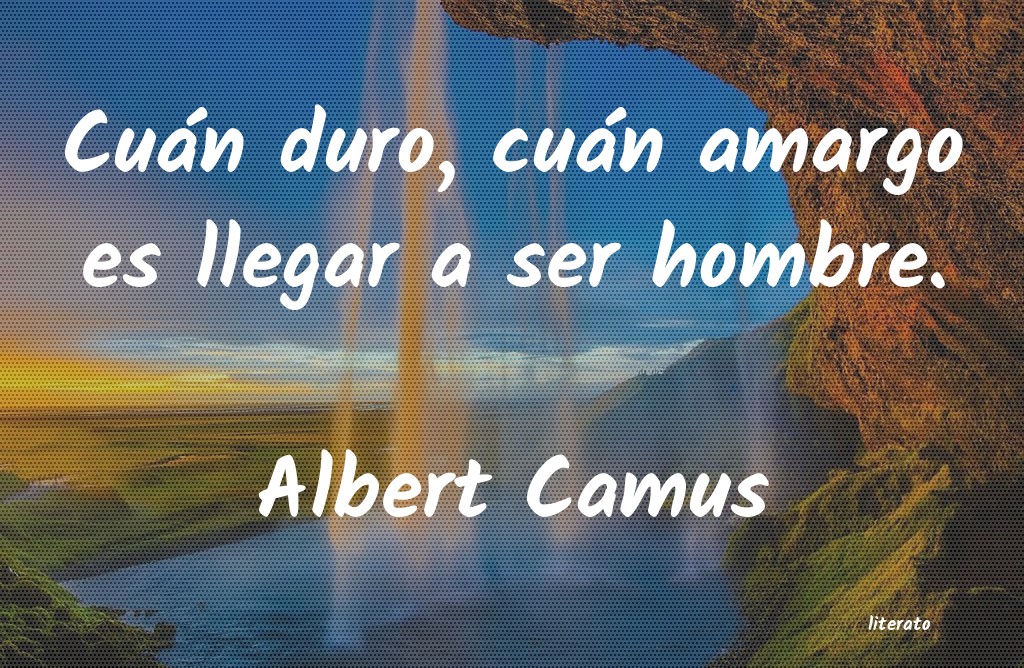 frases de Albert Camus