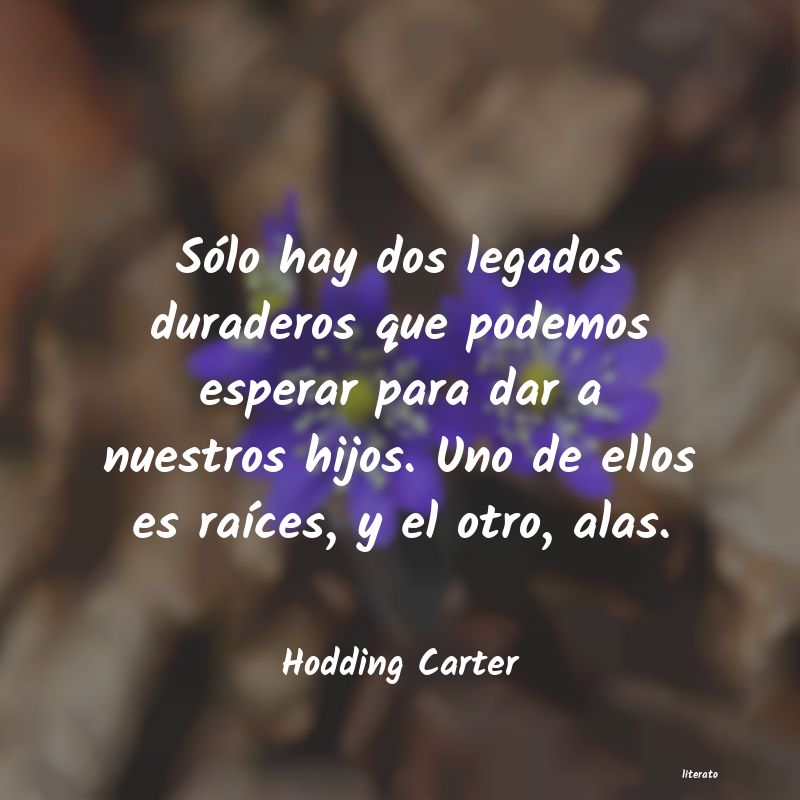 Frases de Hodding Carter