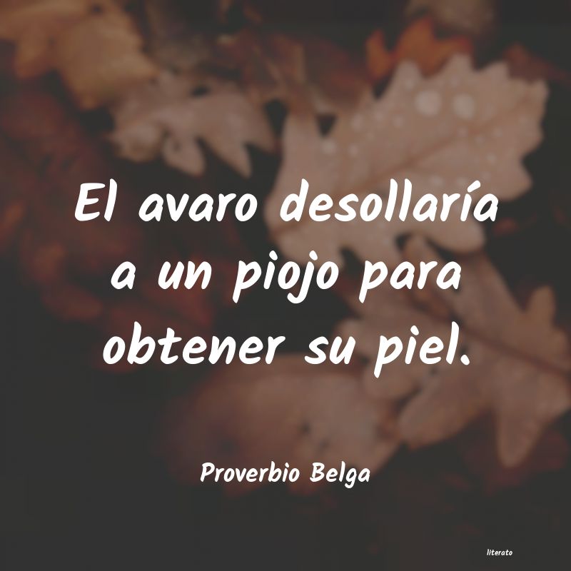 Frases de Proverbio Belga