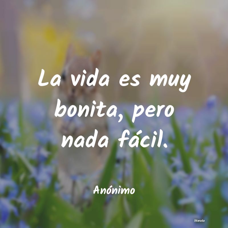 frases