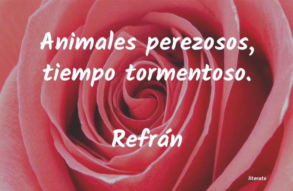 Frases de Refrán