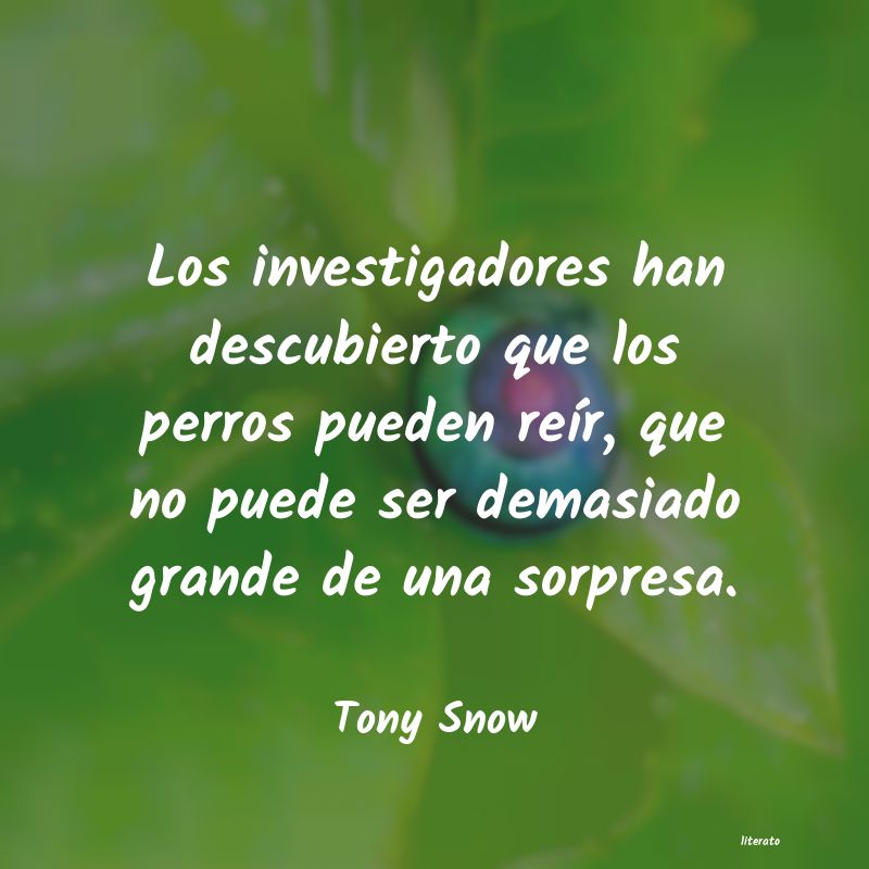 Frases de Tony Snow