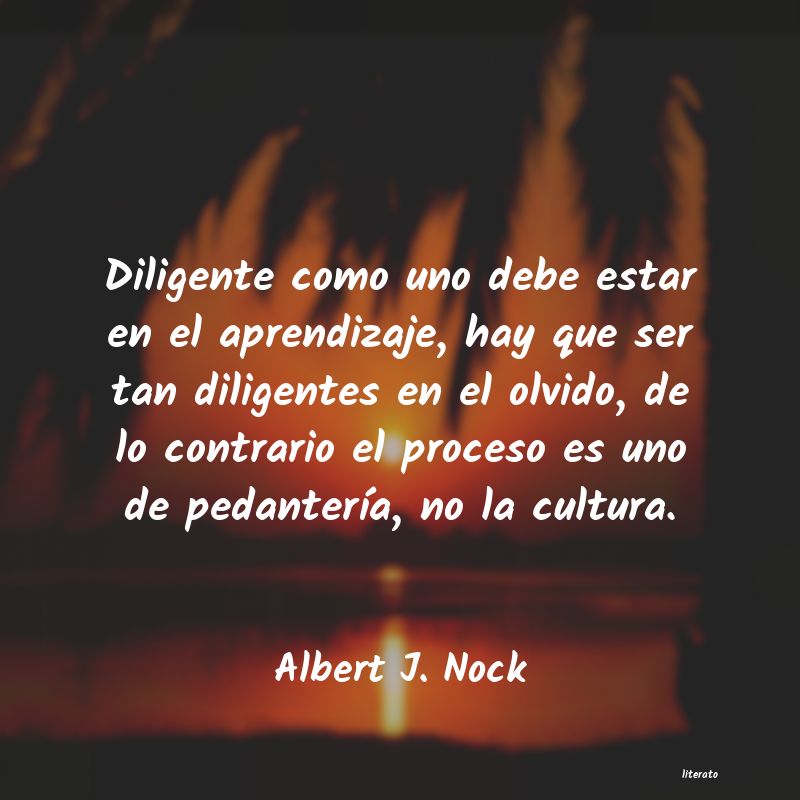 frases de Albert J. Nock