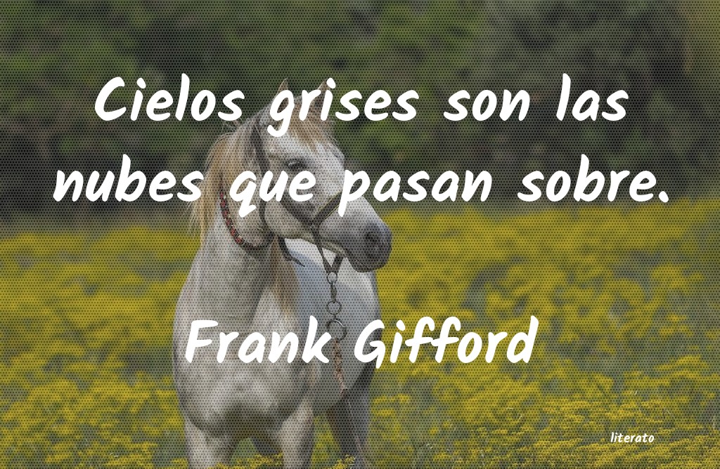 frases de Frank Gifford