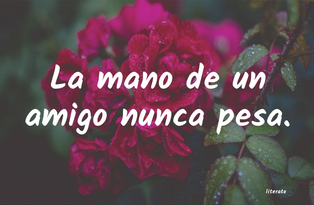 frases