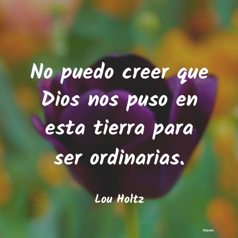 frases de Lou Holtz