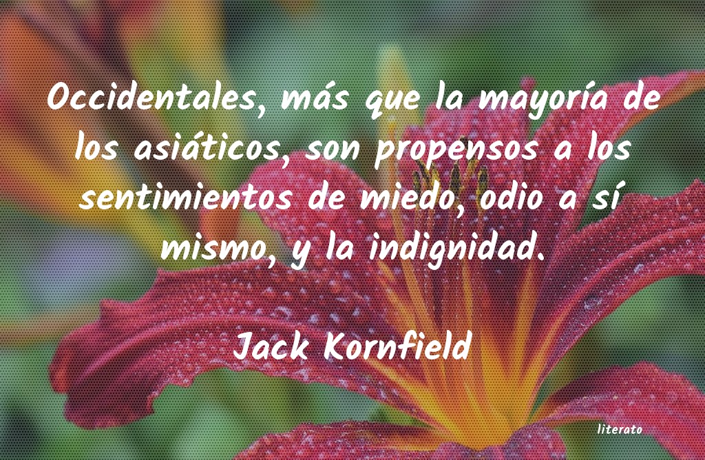 Frases de Jack Kornfield
