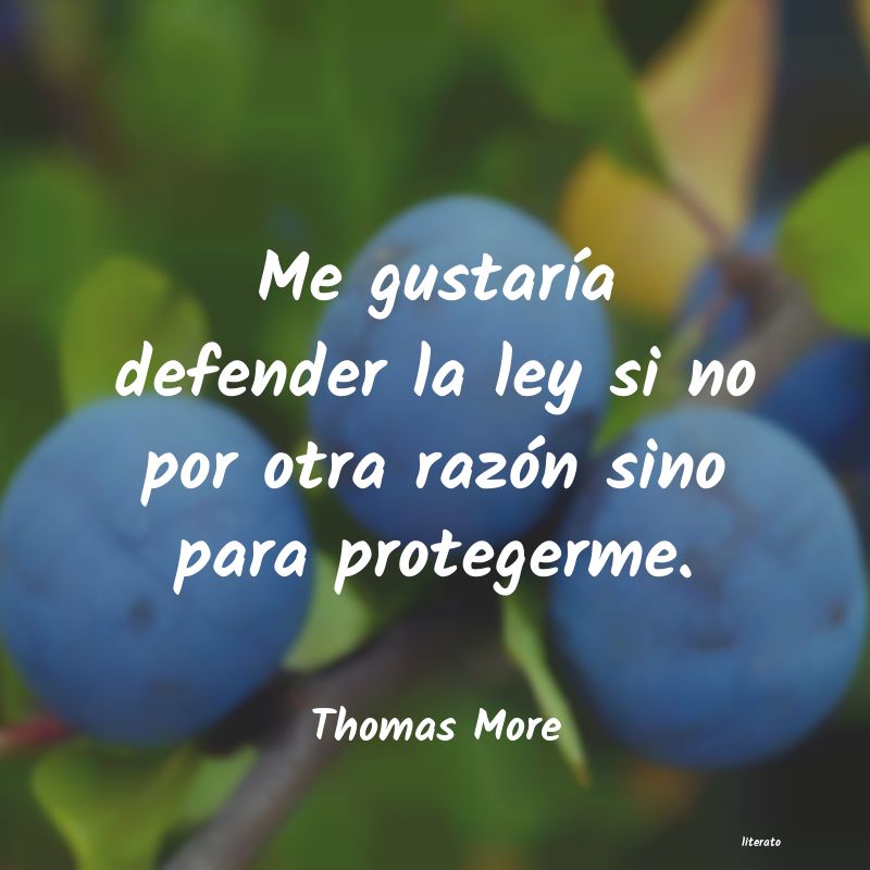 frases de Thomas More