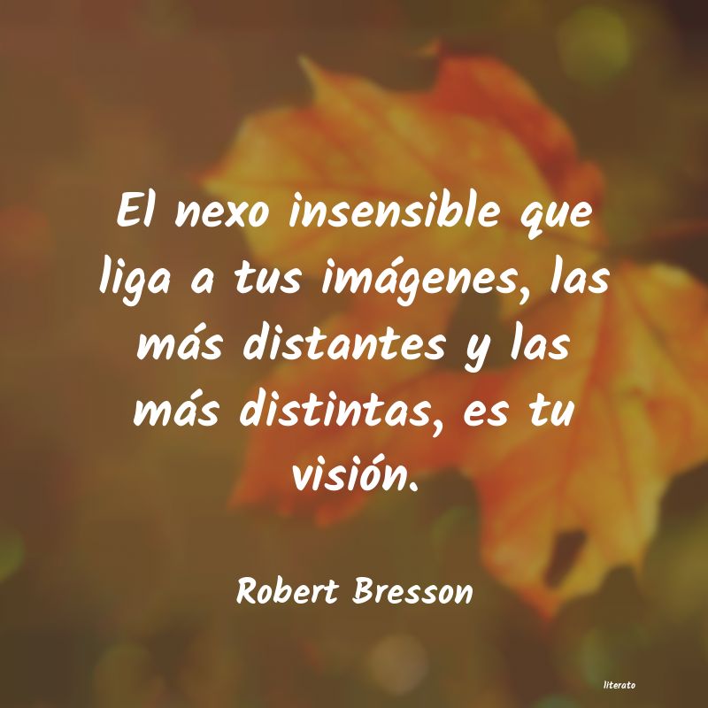 frases de Robert Bresson