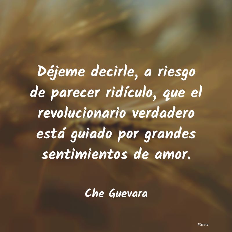 Frases de Che Guevara