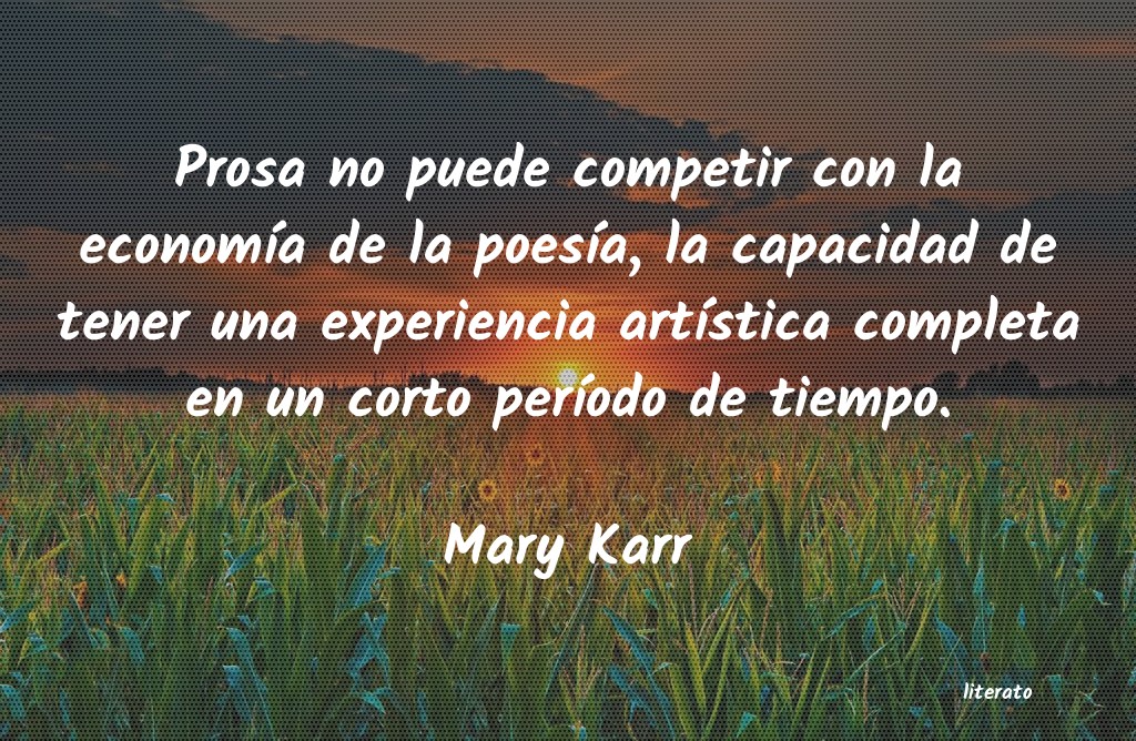 Frases de Mary Karr