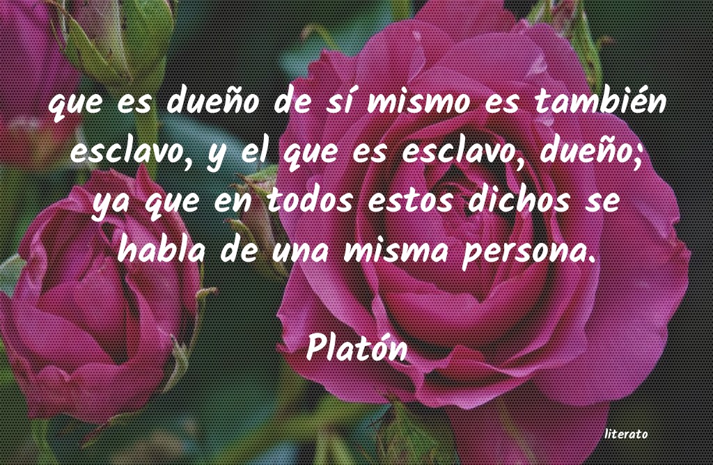 Frases de Platón