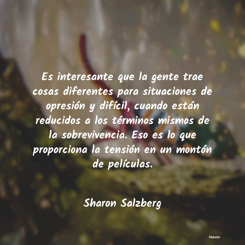 Frases de Sharon Salzberg