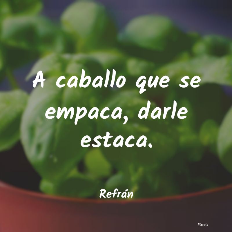 Frases de Refrán