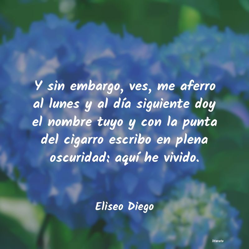 Frases de Eliseo Diego