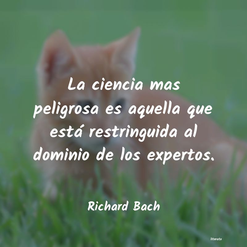 Frases de Richard Bach