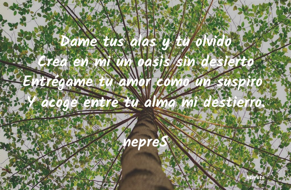 frases de olvido de amor