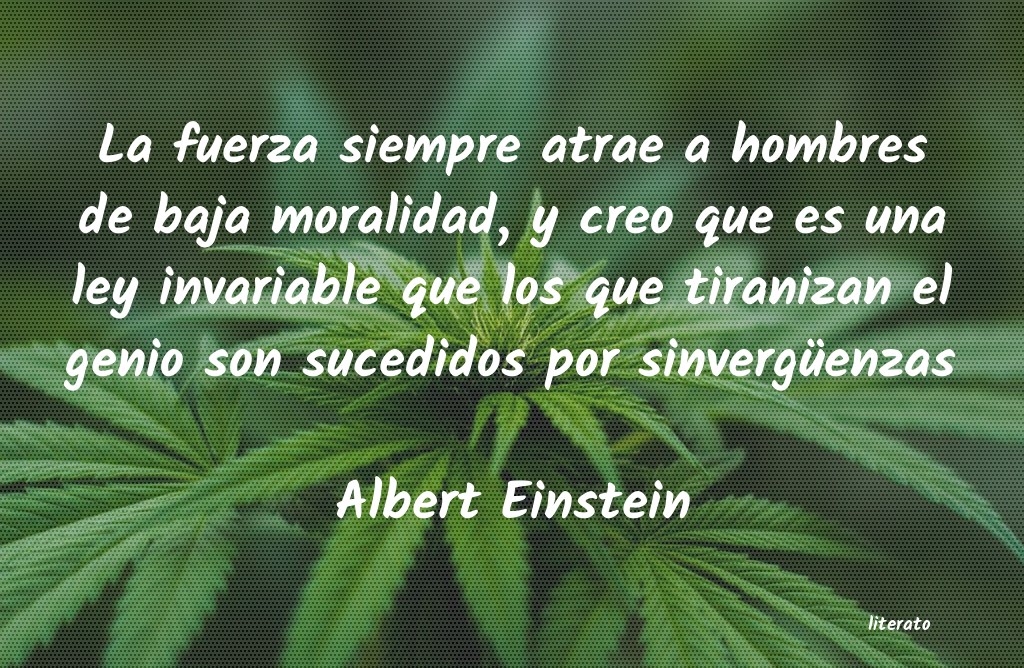 Frases de Albert Einstein