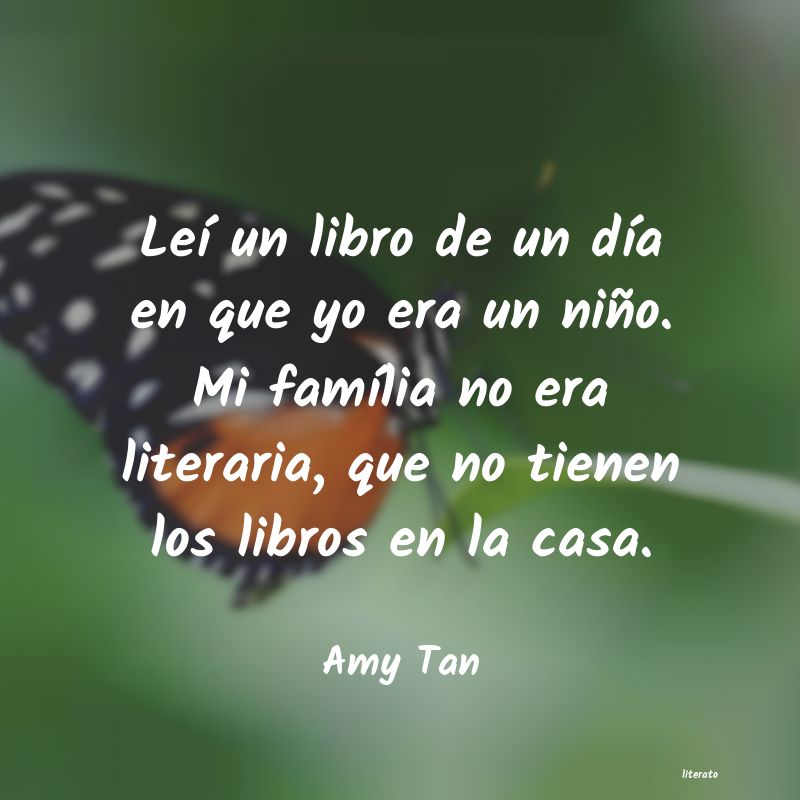 Frases de Amy Tan