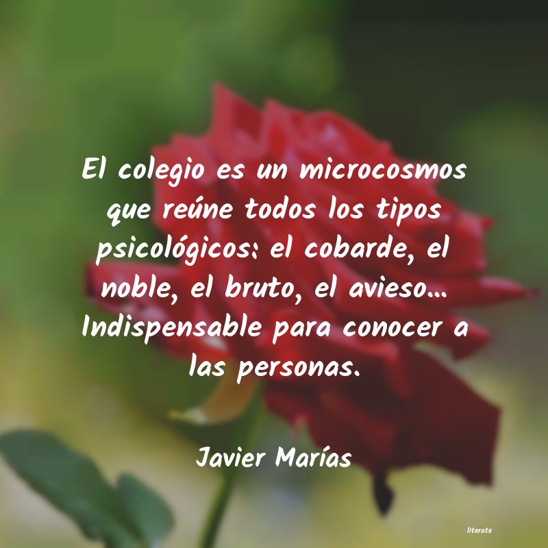 Frases de Javier Marías