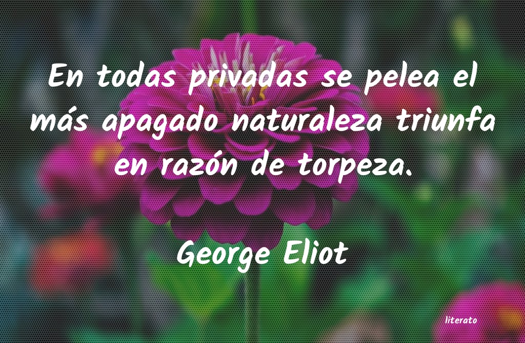 Frases de George Eliot