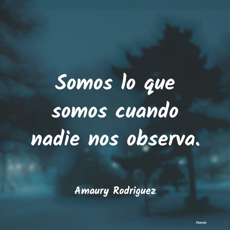 Frases de Amaury Rodriguez