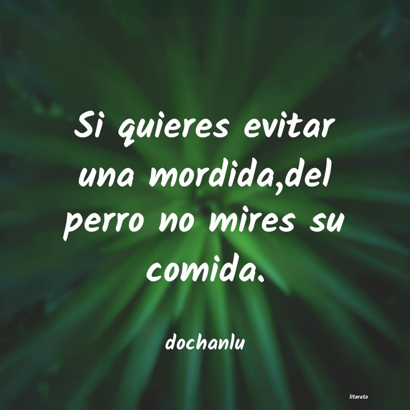comida