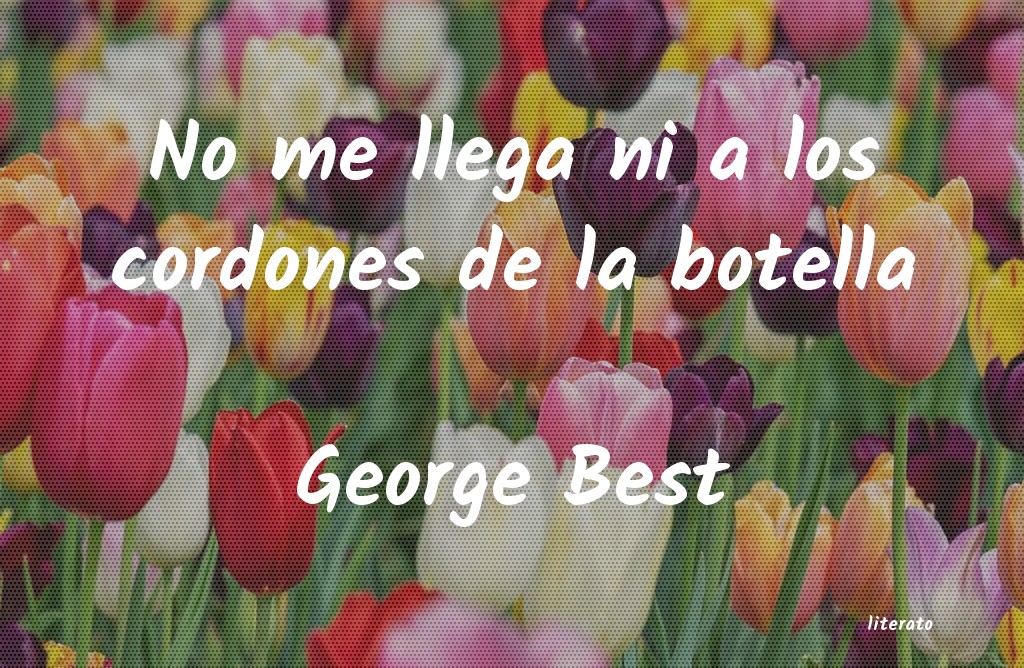 Frases de George Best