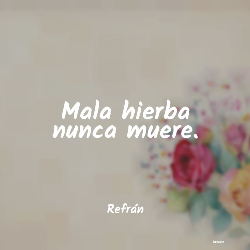 frases de Refrán