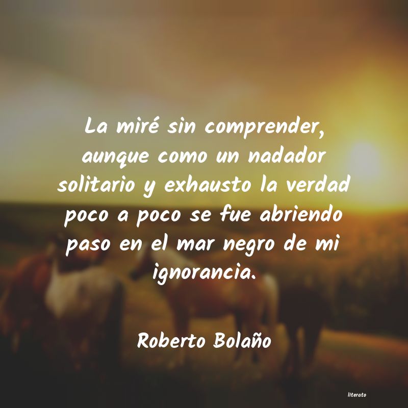 Frases de Roberto Bolaño