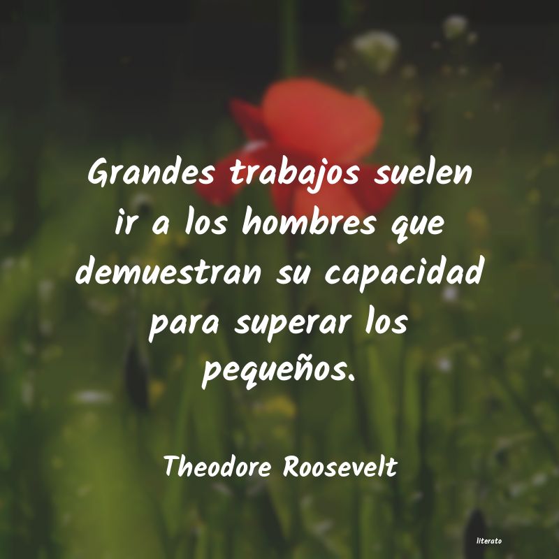 Frases de Theodore Roosevelt