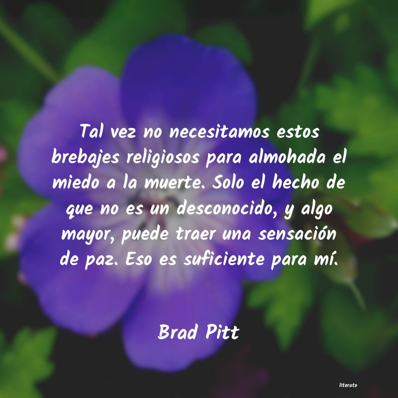 Brad Pitt: Tal vez no necesitamos estos b