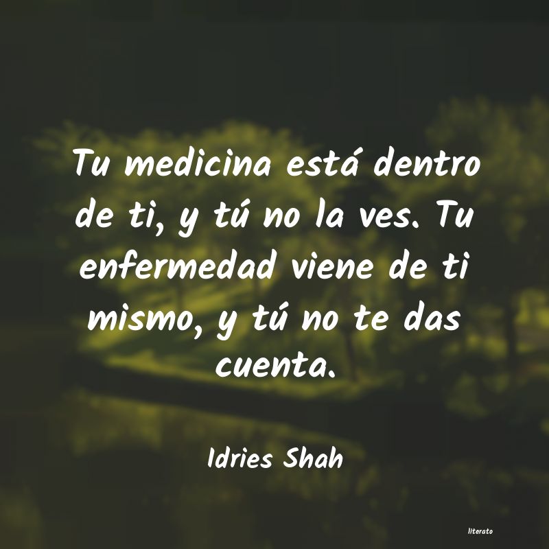 Frases de Idries Shah