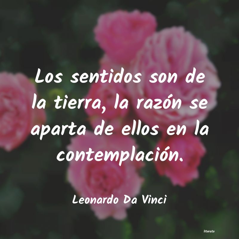 frases de Leonardo Da Vinci
