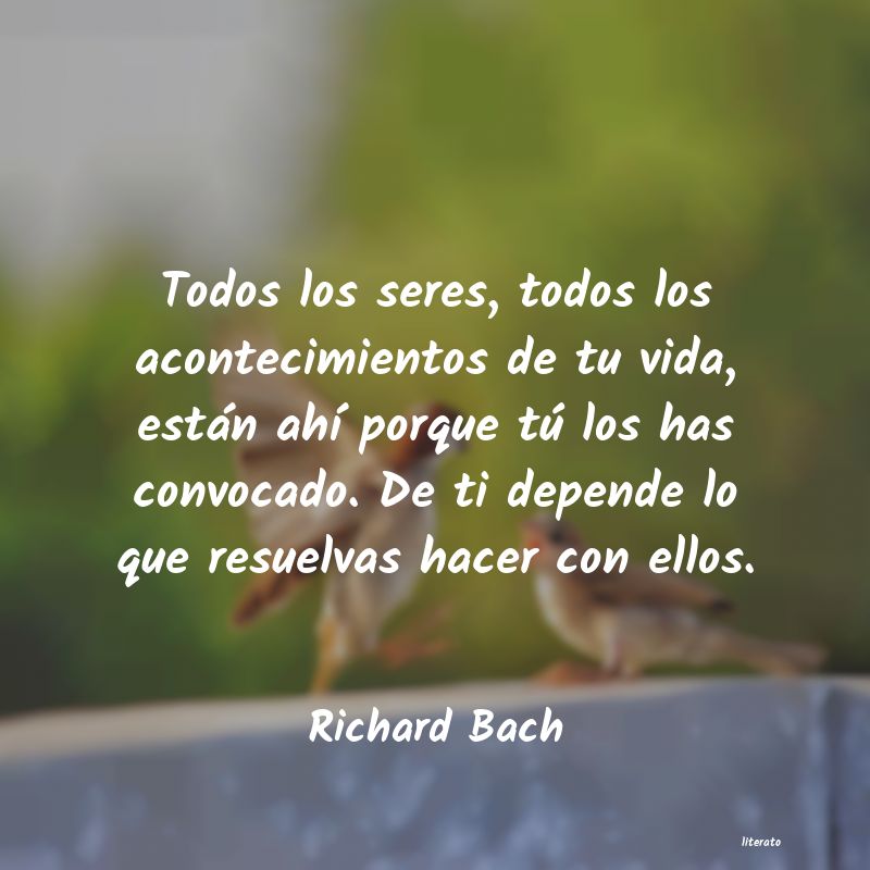 Frases de Richard Bach