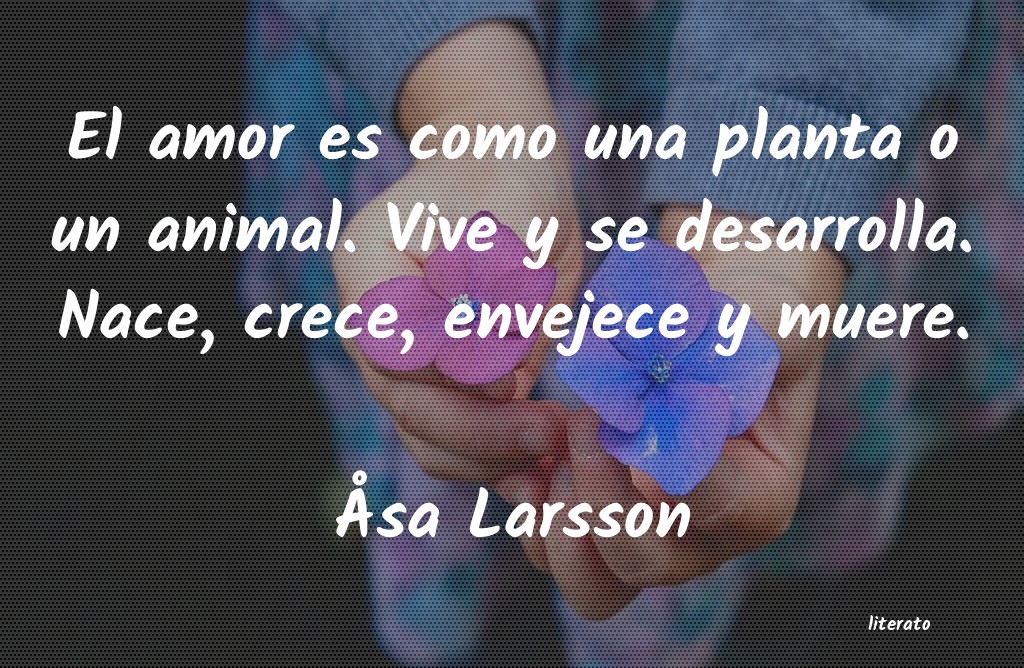 Frases de Åsa Larsson