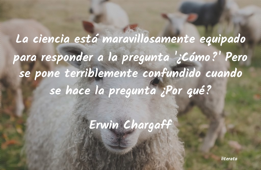 frases de Erwin Chargaff