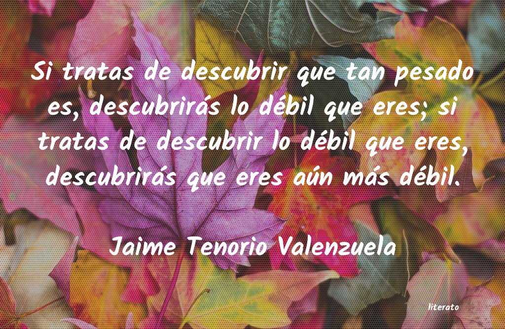 frases de Jaime Tenorio Valenzuela