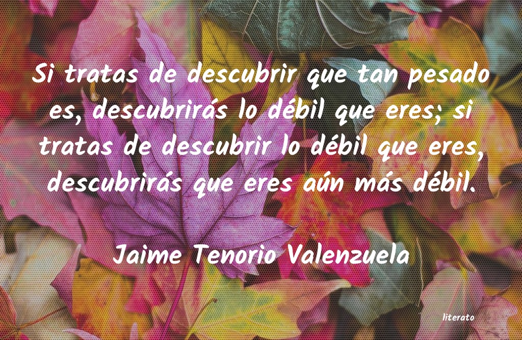 Frases de Jaime Tenorio Valenzuela