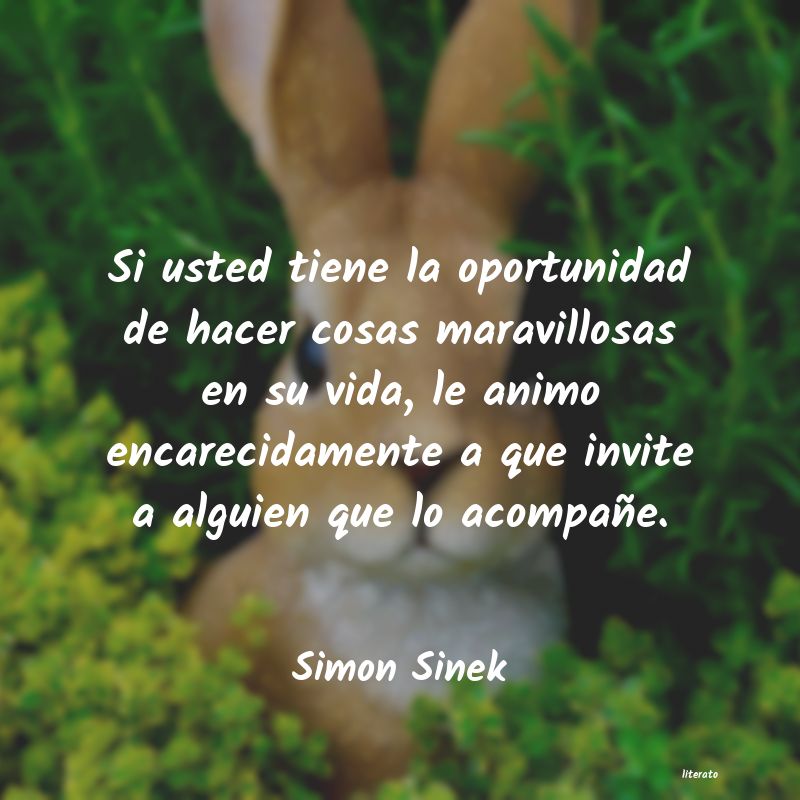 Frases de Simon Sinek