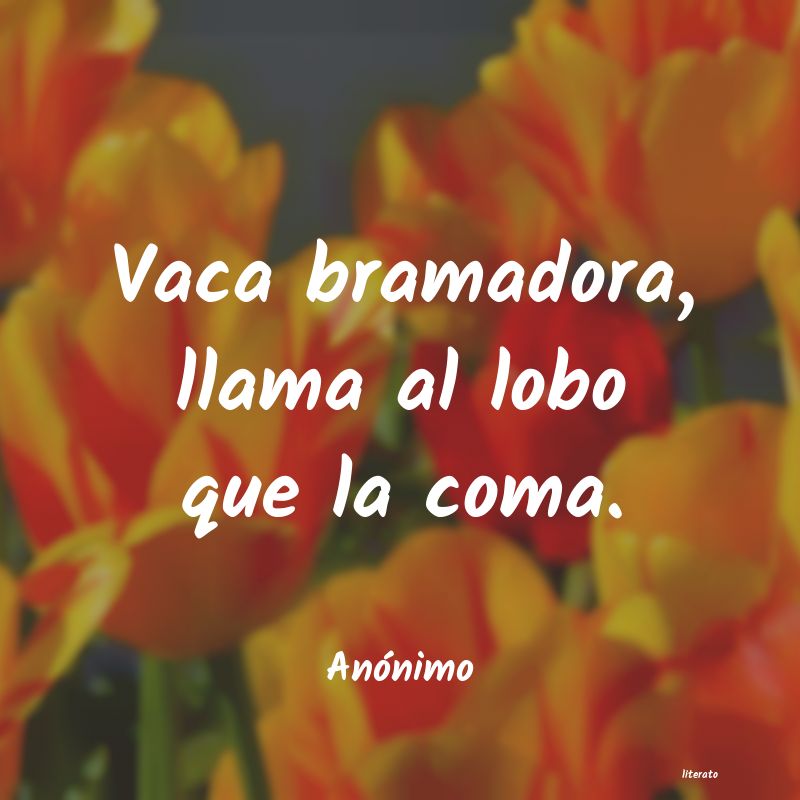 frases