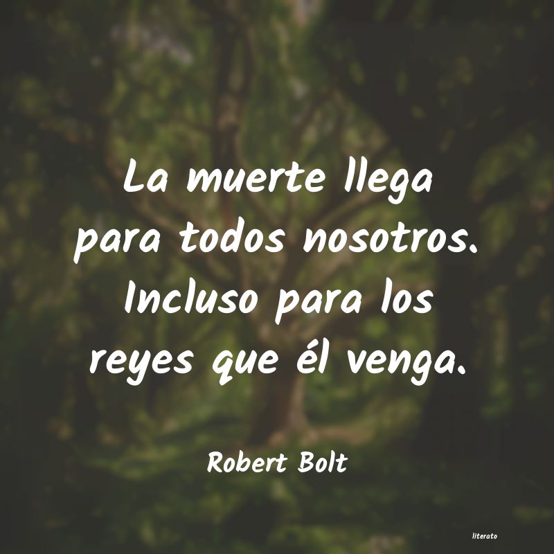 Frases de Robert Bolt