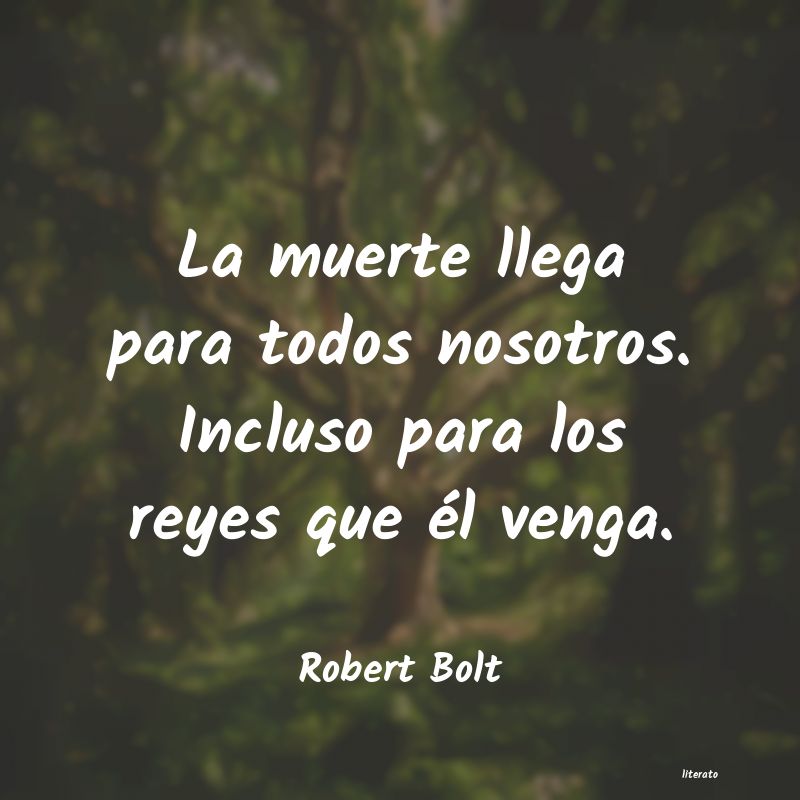 frases de Robert Bolt