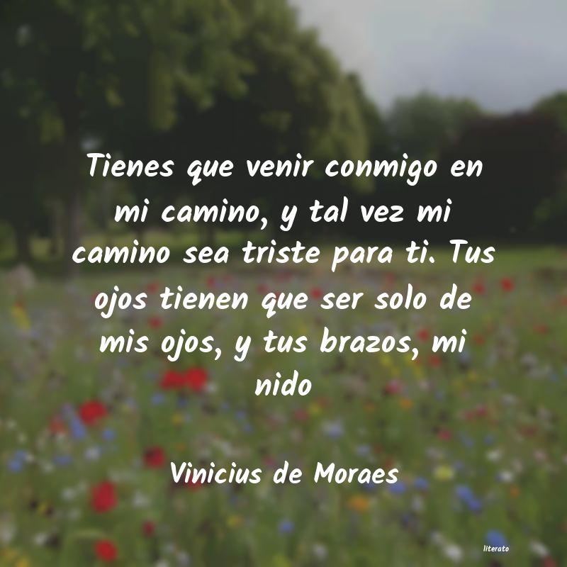 Frases de Vinicius de Moraes