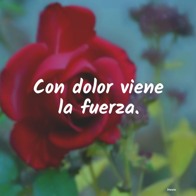 frases