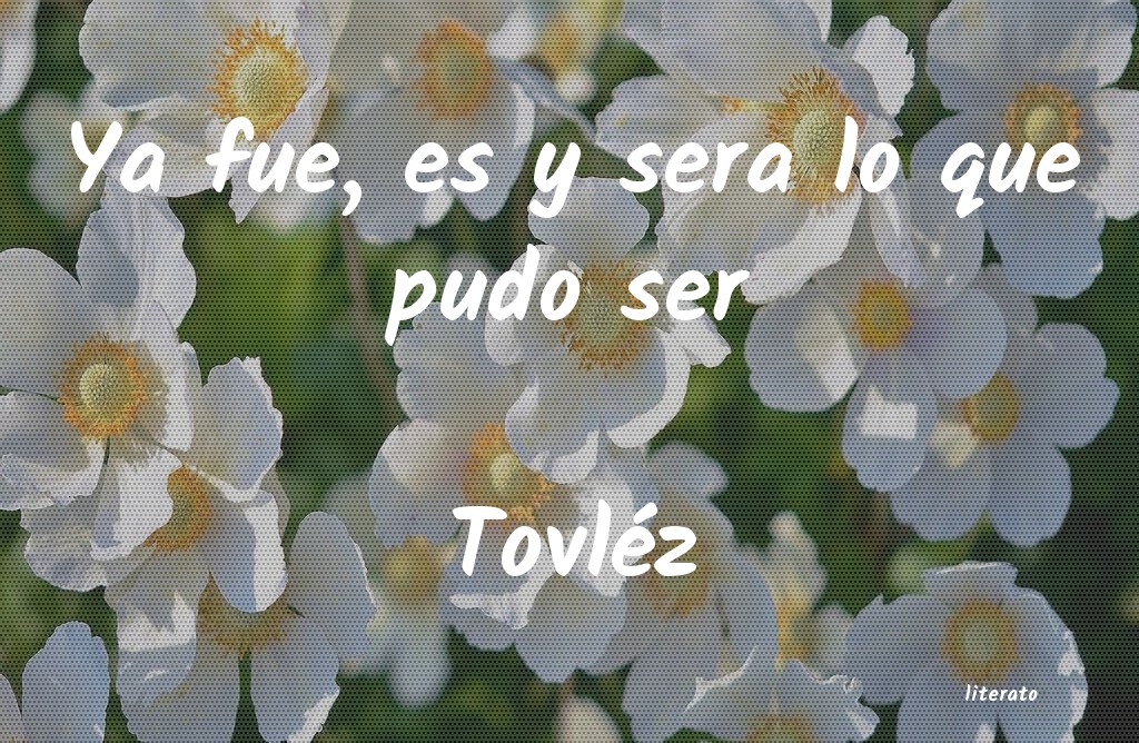 frases de Tovléz