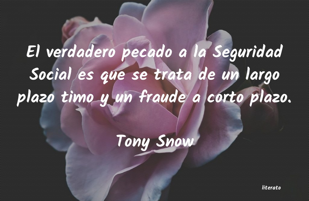 Frases de Tony Snow