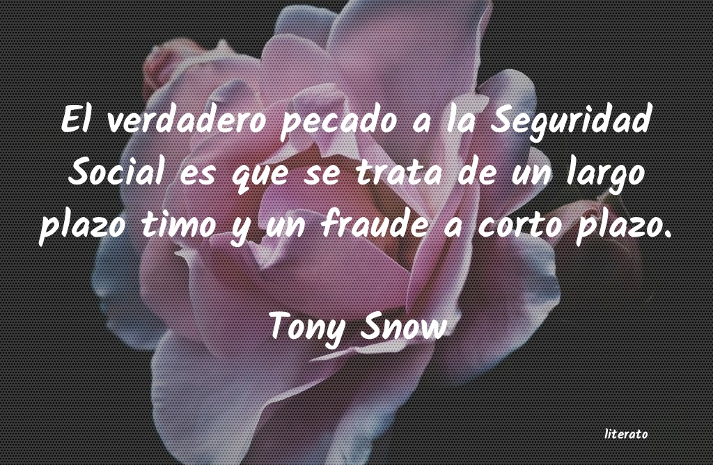 tony d