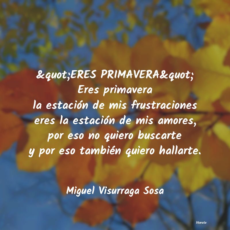 frases de Miguel Visurraga Sosa